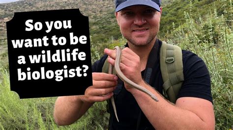 What Does a Wildlife Researcher Do?