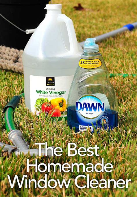 What Does a Window Cleaner Do?