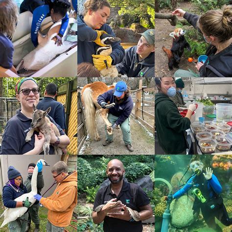 What Does a Zookeeper Actually Do?