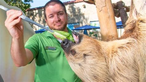 What Does a Zookeeper Do?
