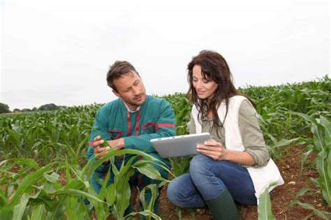 What Does an Agricultural Engineer Do?