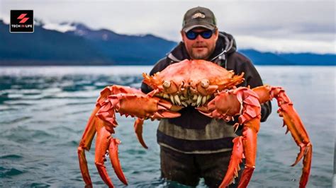 What Does an Alaskan King Crab Fisherman Do?