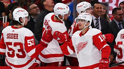 What Does an American Hockey League Player Do?
