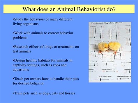 What Does an Animal Behaviorist Do?