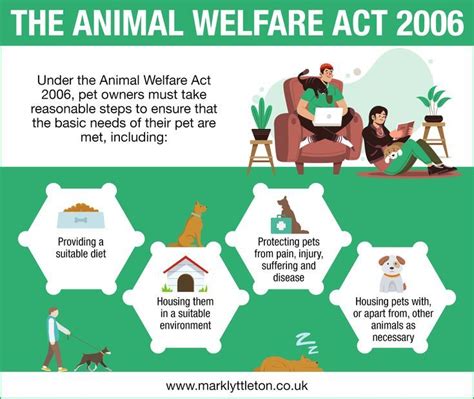 What Does an Animal Welfare Executive Do?