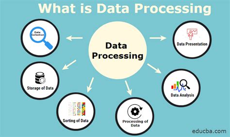 What Does an Automatic Data Processing Professional Do?