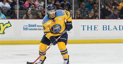 What Does an ECHL Player Do?