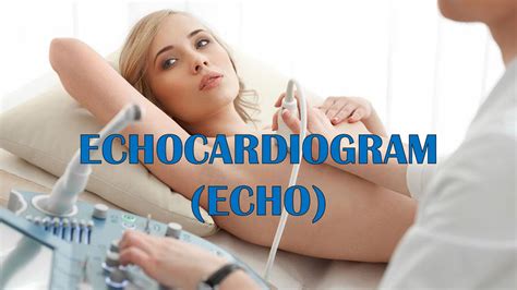 What Does an Echo Technologist Do?
