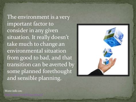 What Does an Ecological Consultant Do?
