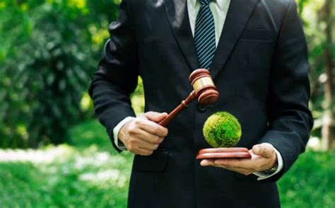 What Does an Environmental Attorney Do?