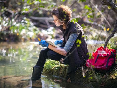 What Does an Environmental Specialist Do?
