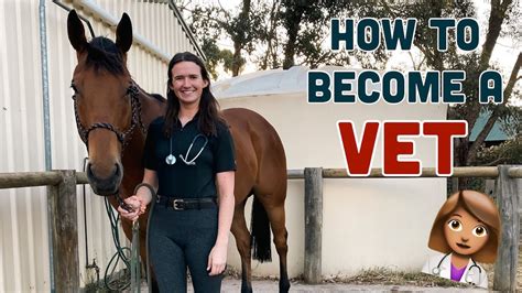 What Does an Equine Veterinarian Do? A Life in Motion