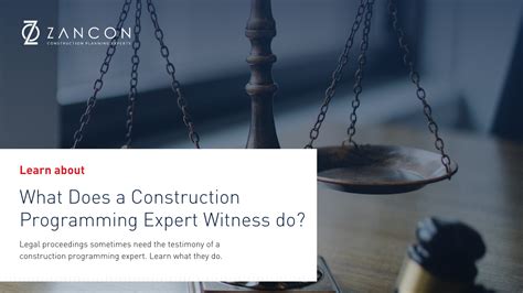 What Does an Expert Witness Do?