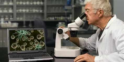 What Does an Immunologist Do?