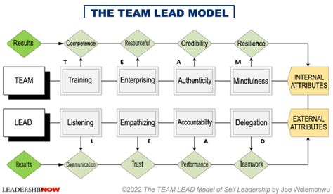 What Does an IT Lead Do?