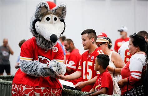 What Does an NFL Mascot Do?
