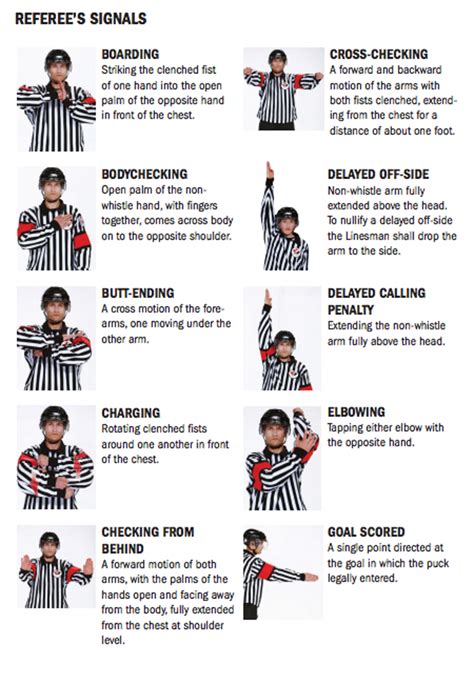 What Does an NHL Referee Do?