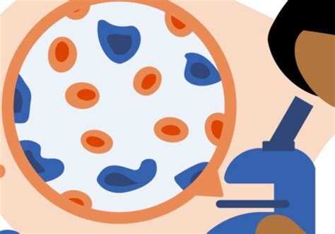 What Does an Oncology PA Do?