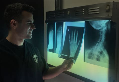 What Does an X-Ray Tech in Florida Actually Do?
