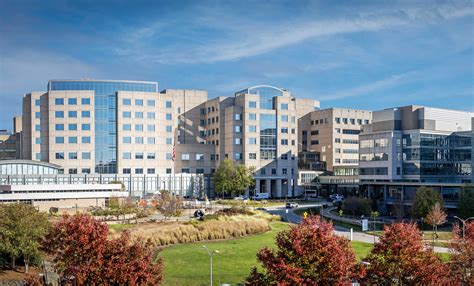 What Drives the Value of a UNC-Chapel Hill Degree?