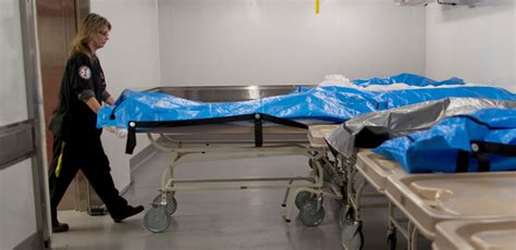 What Exactly Does a Body Examiner Do?