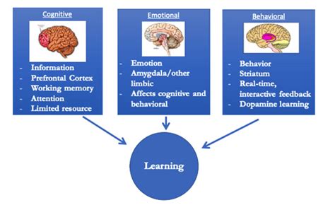 What is the Centre for Neuro Skills and What Roles Do They Offer?