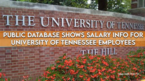 What is the University of Tennessee Salary Database?
